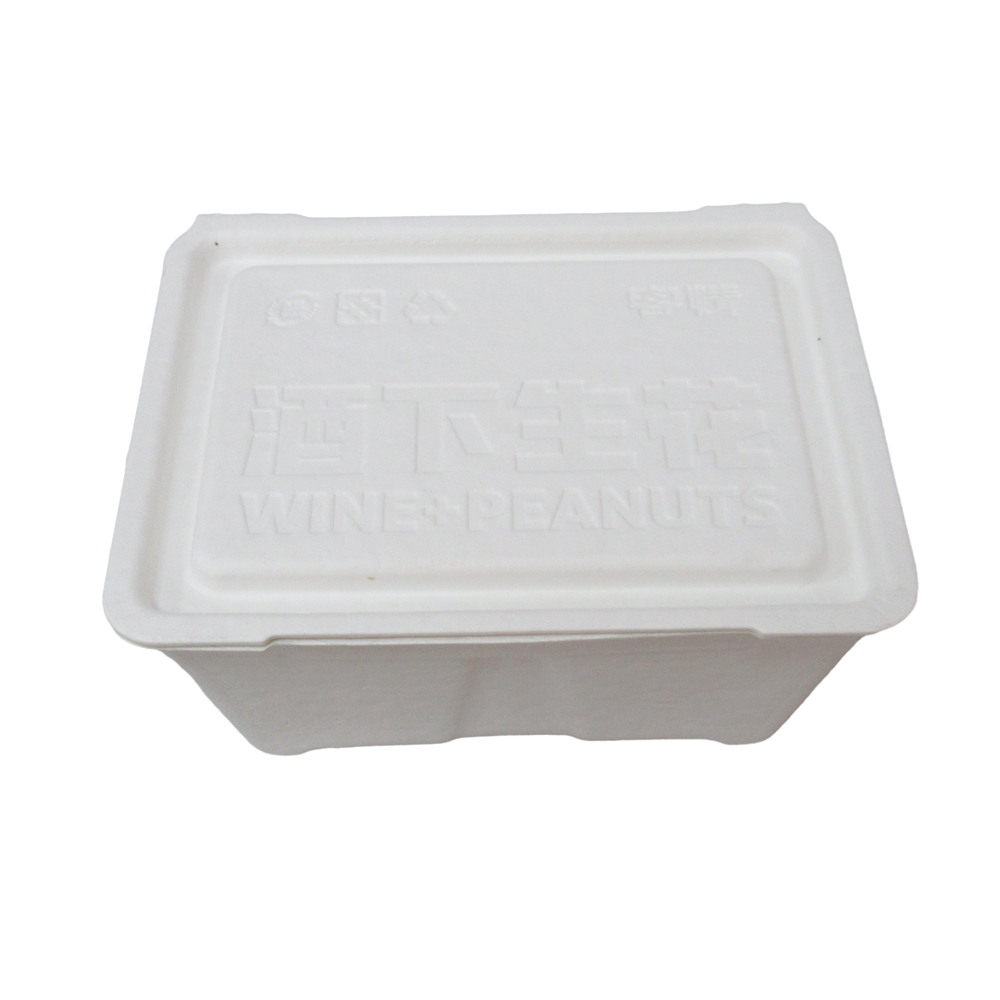 snack bagasse box